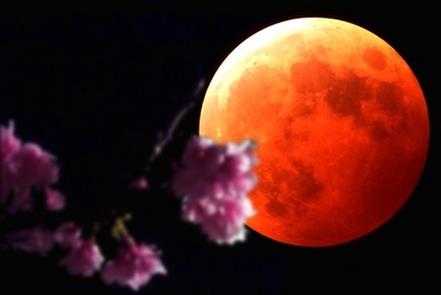 0404moon02.jpg