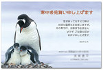 2010年の寒中見舞い