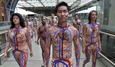 Body Artery.jpg