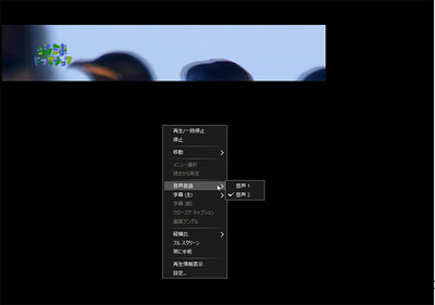 anydvd01.jpg