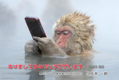 ape01.jpg
