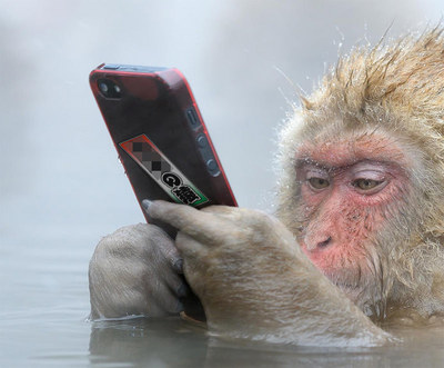 ape05.jpg