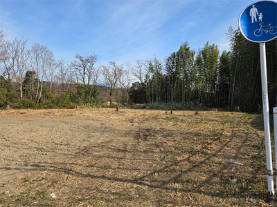 bamboo20250119_01.jpg