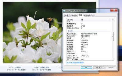 bee03-DSC_0484.jpg
