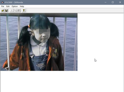camomile01.jpg