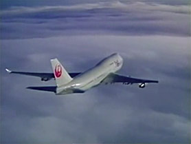 flight11.jpg