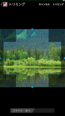 forest02.jpg