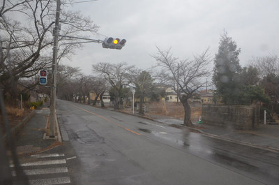 fukushima40.jpg