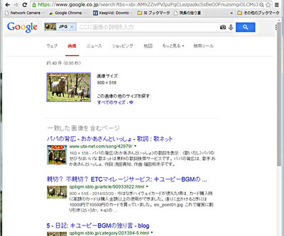 google-search03.jpg