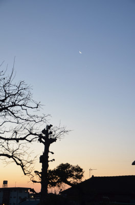 moon_venus02.jpg