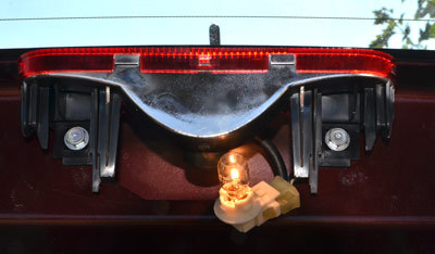 passo-bulb03.jpg