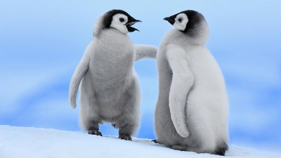 penguin9.jpg