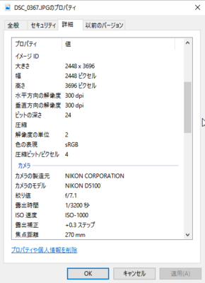 plane02.png