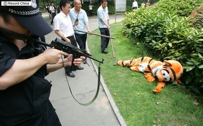 tiger02.jpg