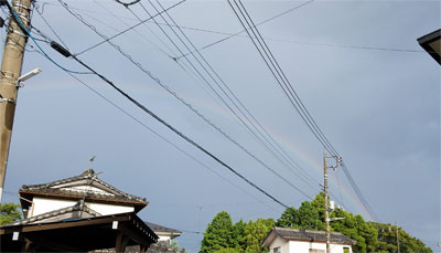 umbrella04.jpg