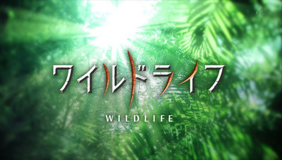 wildlife_logo04.jpg