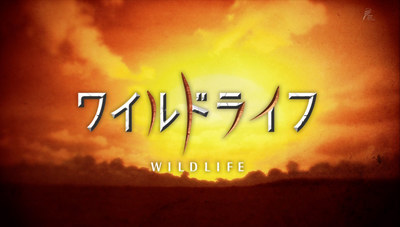 wildlife_logo05.jpg